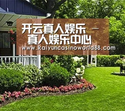 开云真人娱乐 - 真人娱乐中心