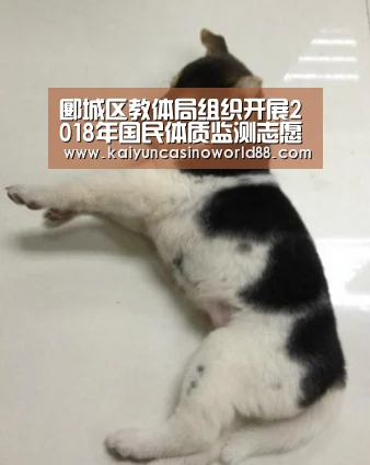 郾城区教体局组织开展2018年国民体质监测志愿服务活动-开运真人(图1) 开运真人